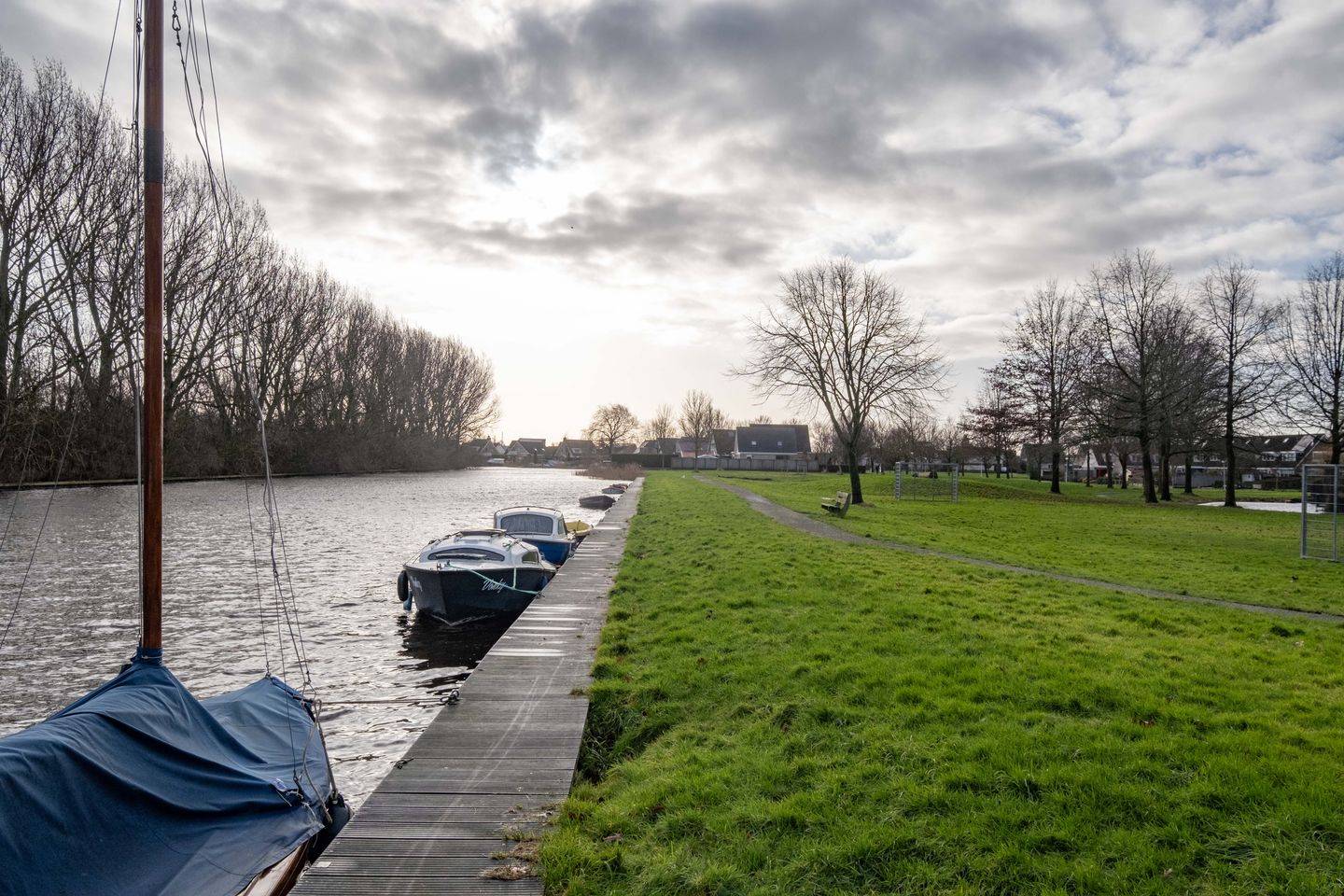 Foto 59 van Pinksterbloem 30