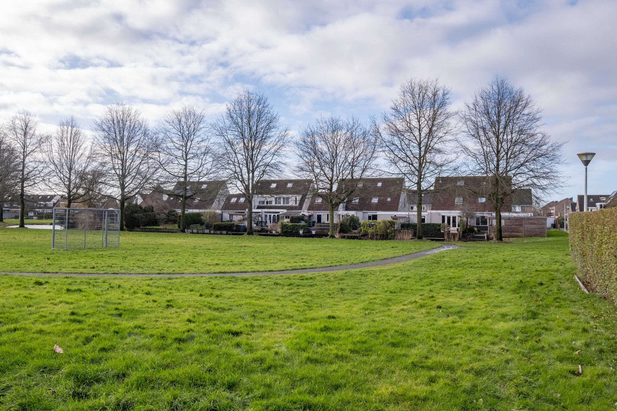 Foto 60 van Pinksterbloem 30