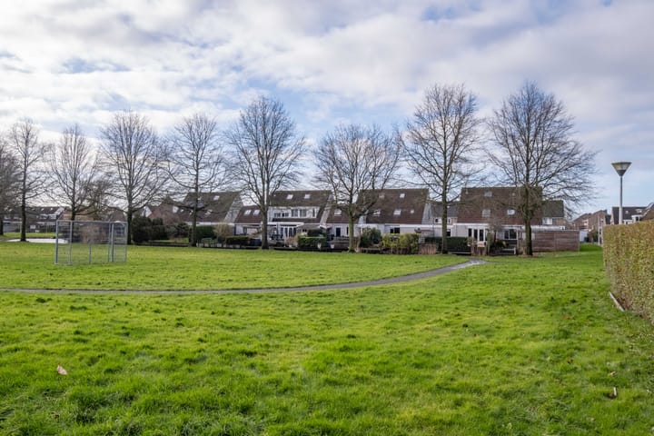 Foto 60 van Pinksterbloem 30