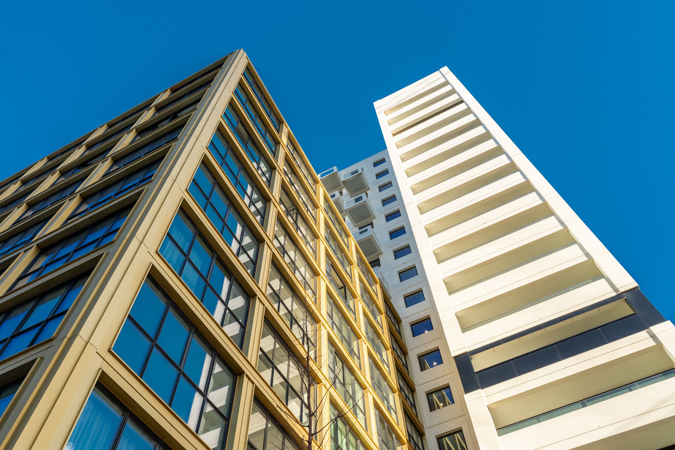 Foto 27 van Dijkmeerlaan 305