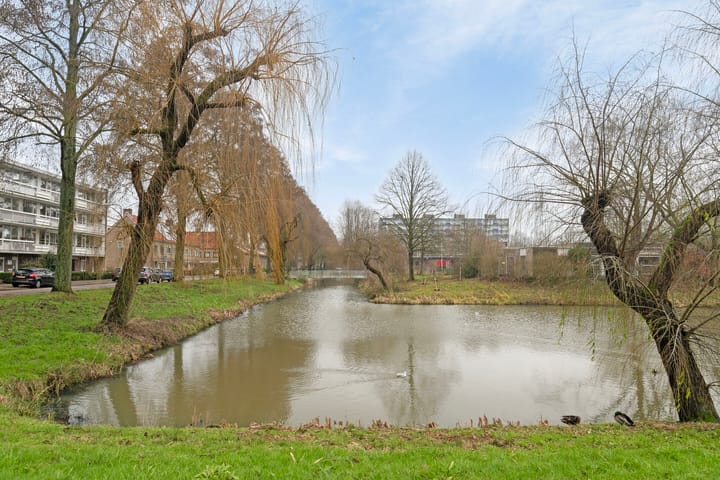 Foto 29 van Zangvogelweg 94