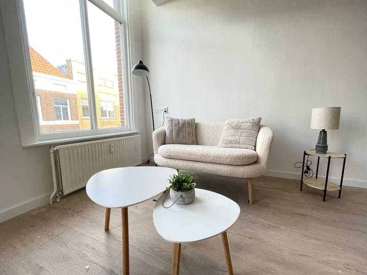 Foto 12 van Zoutmanstraat 48-N