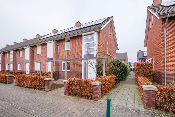 undefined main image