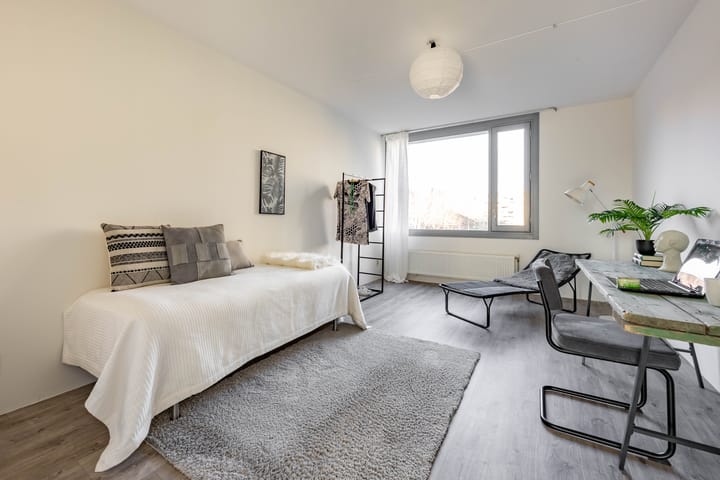 Foto 5 van Verlengde Meeuwerderweg 205