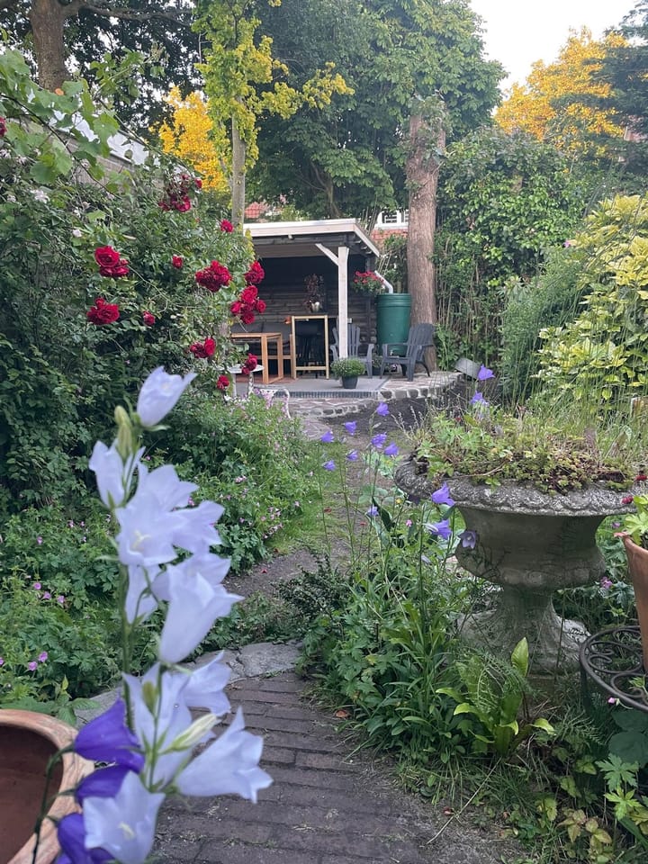 Foto 3 van Van Leeuwenhoekstraat 2