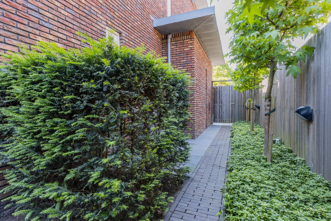 Foto 62 van Tegelzetter 47