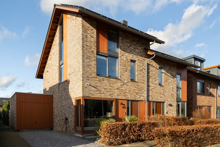 Foto 1 van Lisdodde 80