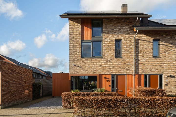 Foto 10 van Lisdodde 80