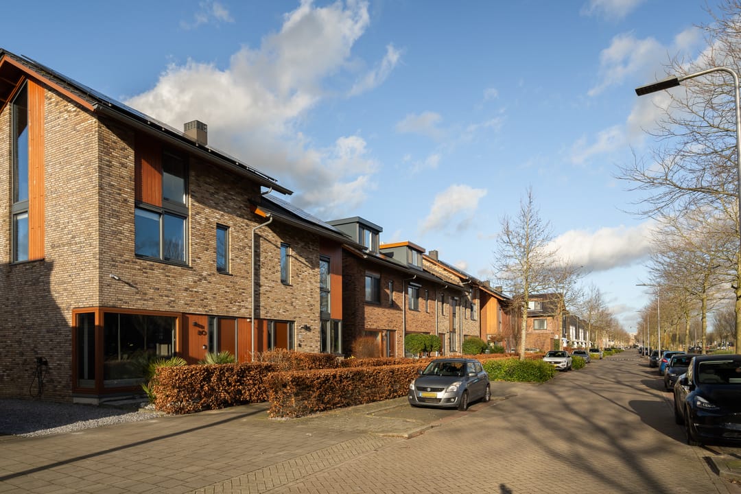 Foto 11 van Lisdodde 80