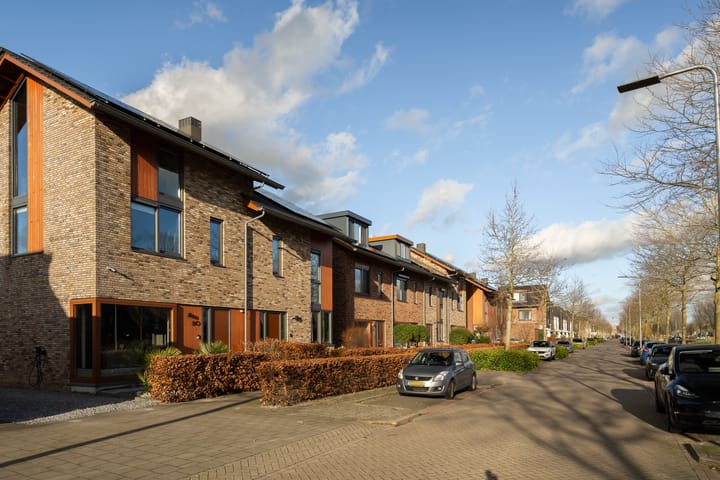 Foto 11 van Lisdodde 80