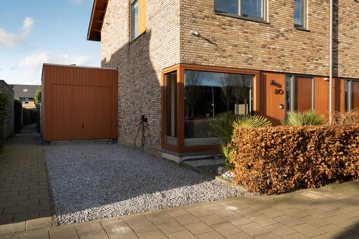 Foto 12 van Lisdodde 80