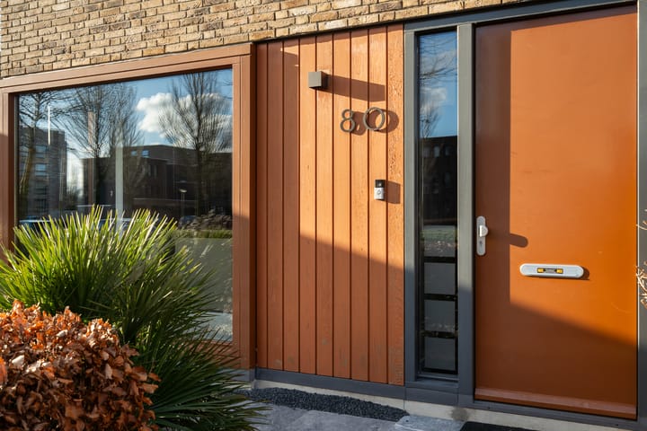 Foto 15 van Lisdodde 80