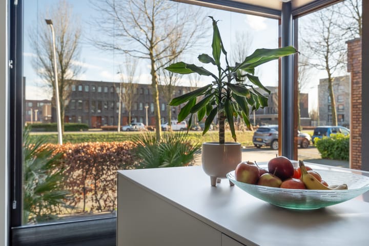 Foto 51 van Lisdodde 80