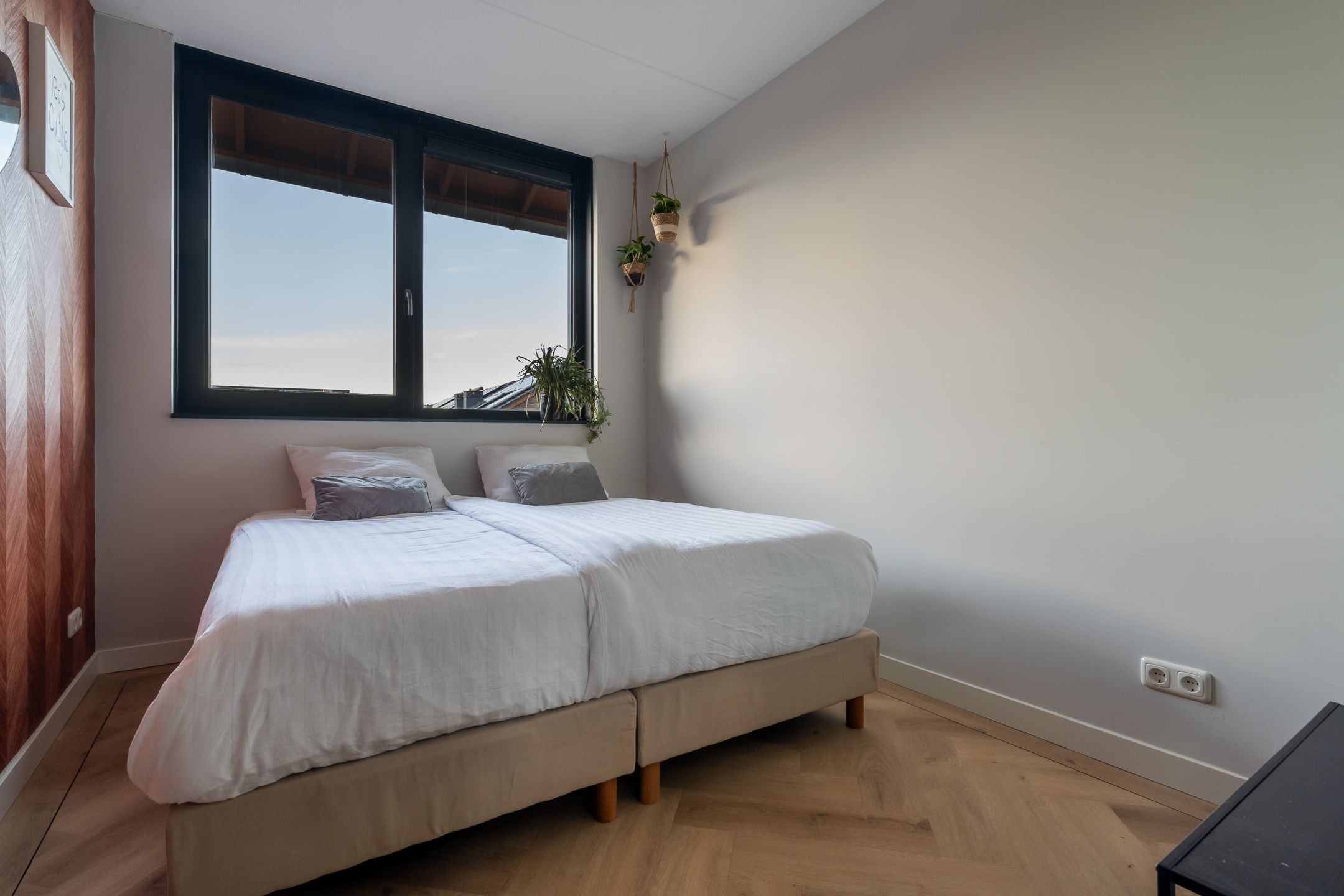 Foto 66 van Lisdodde 80