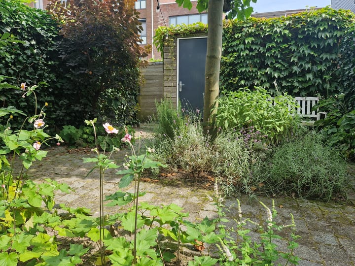 Foto 6 van Mattenbiesstraat 175