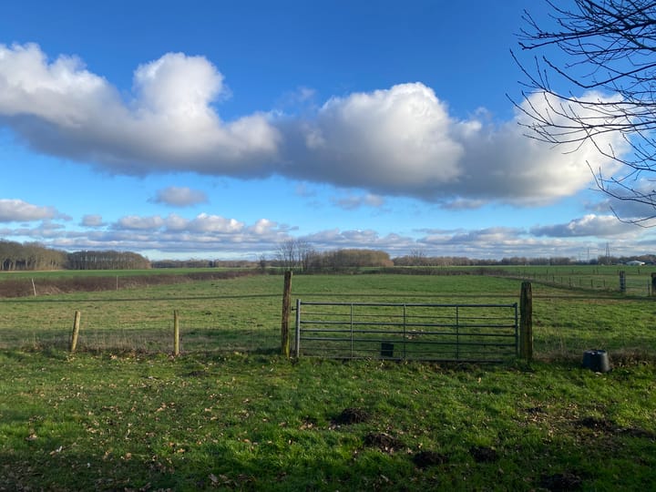 Schoonloërweg 7