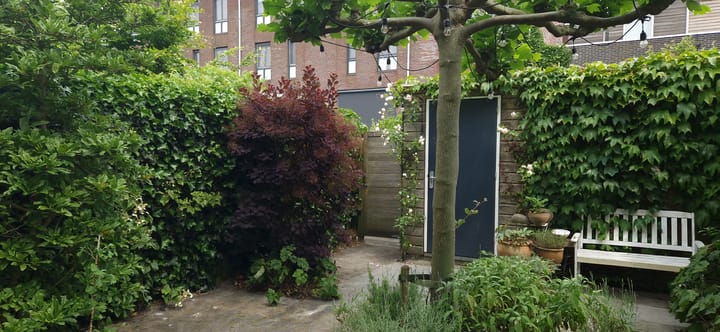 Foto 41 van Mattenbiesstraat 175