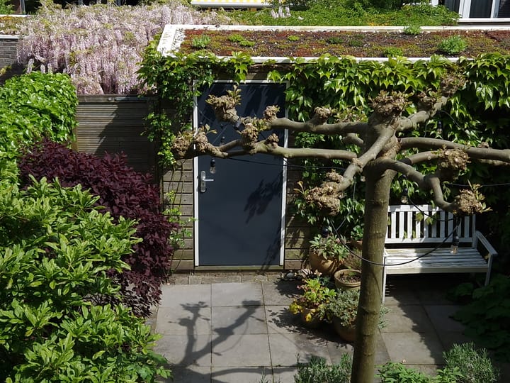 Foto 42 van Mattenbiesstraat 175