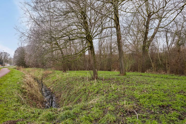 Photo 38 of Zierikzeestraat 52