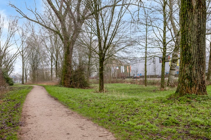 Photo 39 of Zierikzeestraat 52