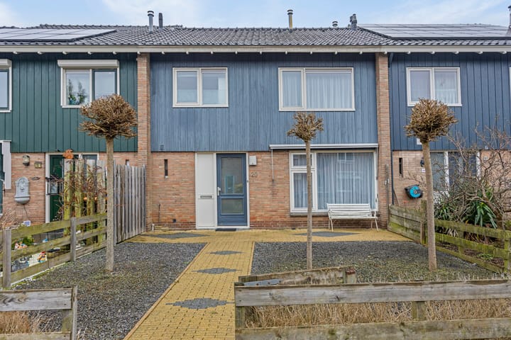 Foto 29 van Treubstraat 20