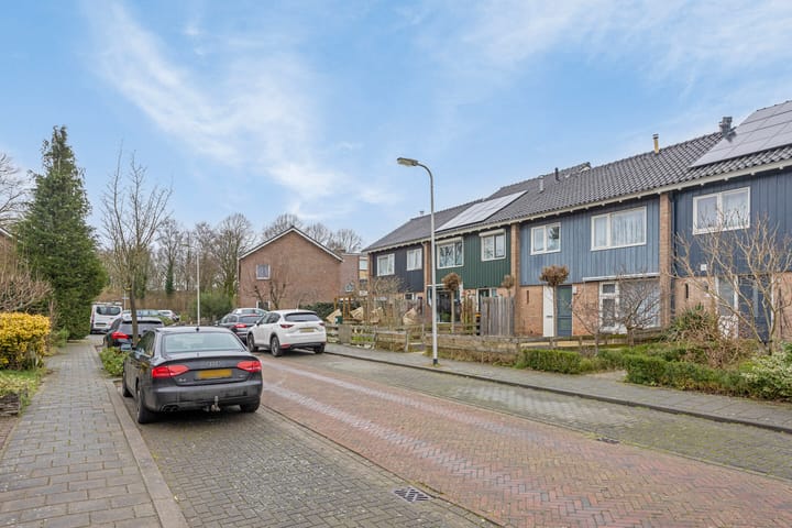 Foto 31 van Treubstraat 20