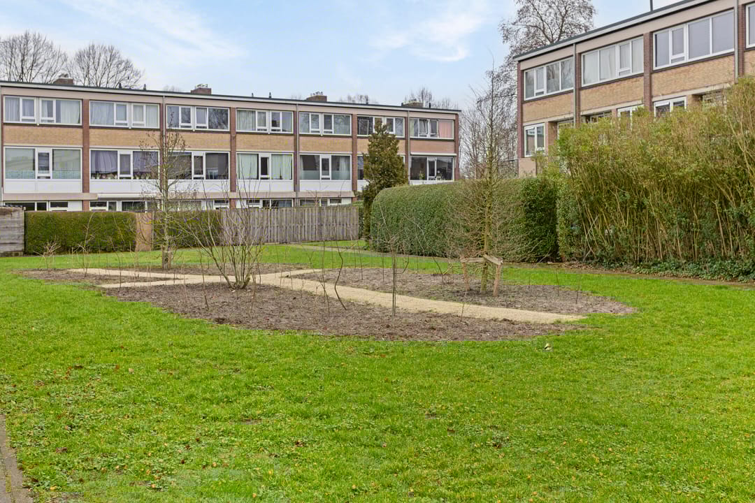 Foto 32 van Treubstraat 20