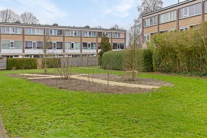 Foto 32 van Treubstraat 20