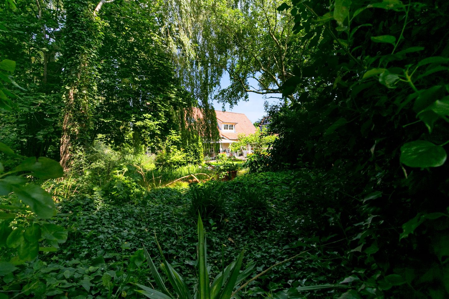 Foto 70 van Lambertusstraat 15