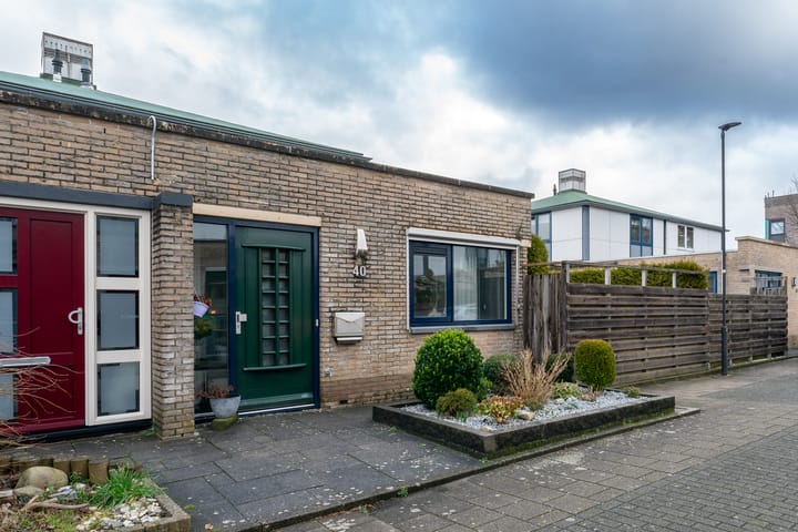 Foto 4 van Kameleon 40