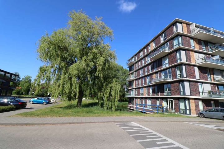 Foto 25 van Tamarixplantsoen 273