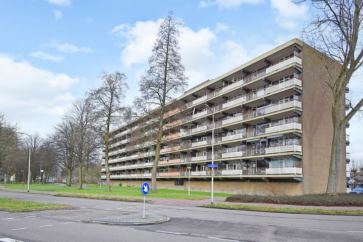 Foto 1 van Dunantstraat 838