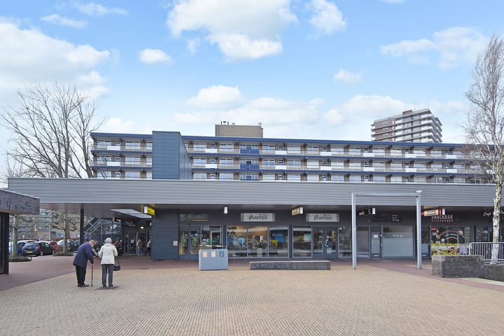 Foto 35 van Dunantstraat 838