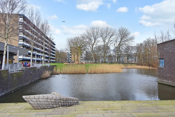 Foto 38 van Dunantstraat 838