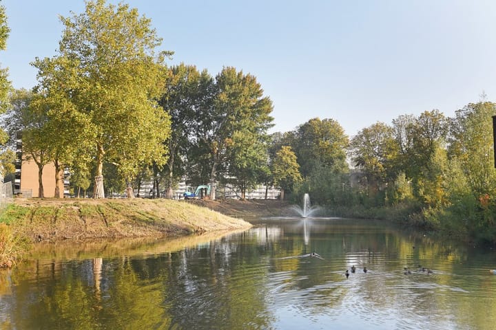 Foto 39 van Dunantstraat 838