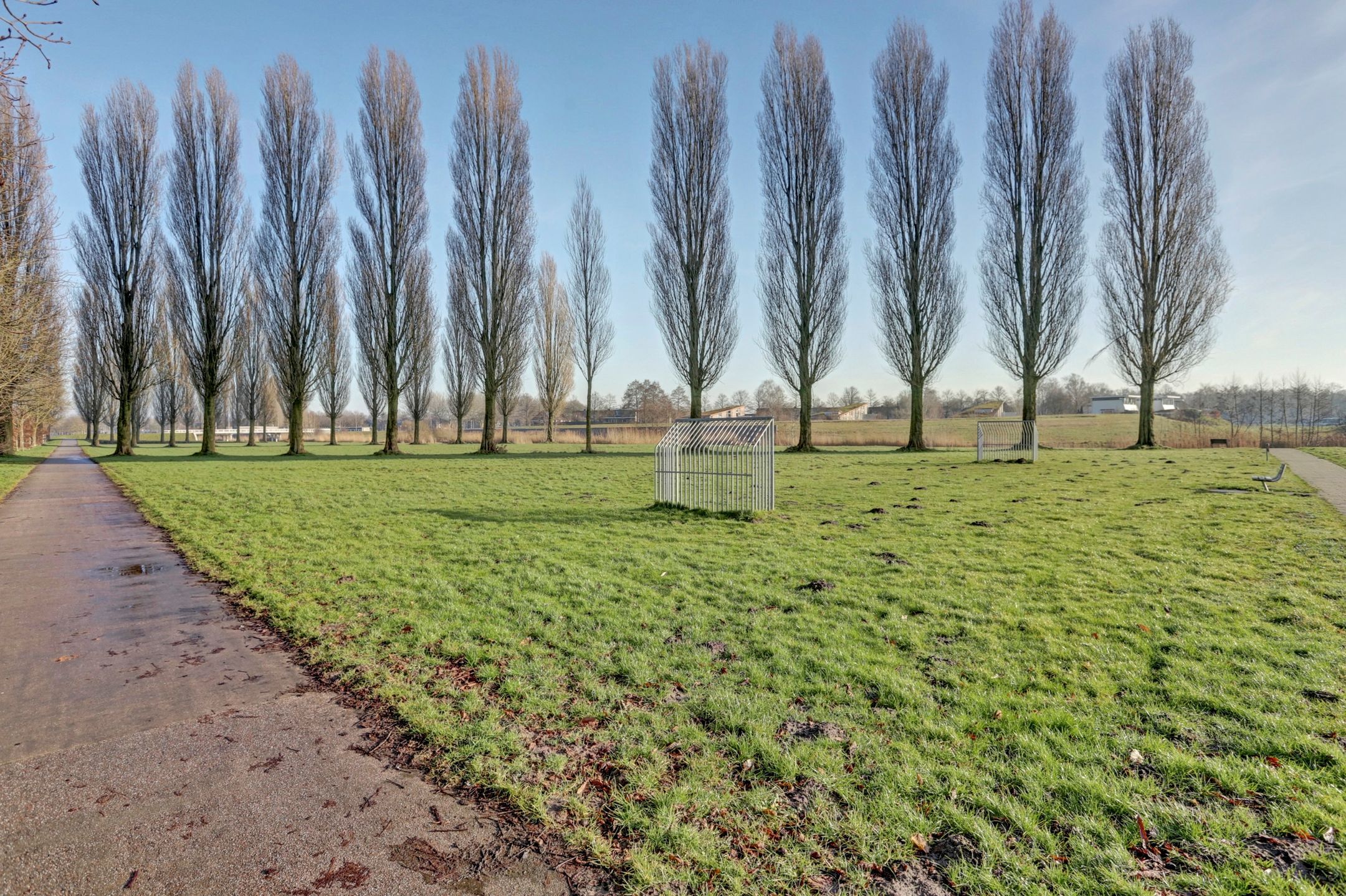 Foto 30 van Houtwal 81