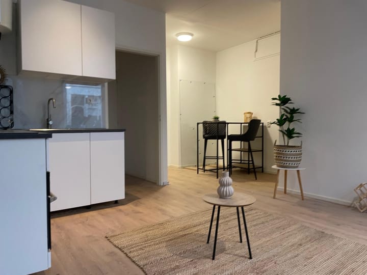 Foto 4 van Zoutmanstraat 48-F