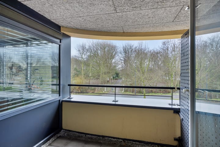 Foto 12 van Mies Ruthplaats 20