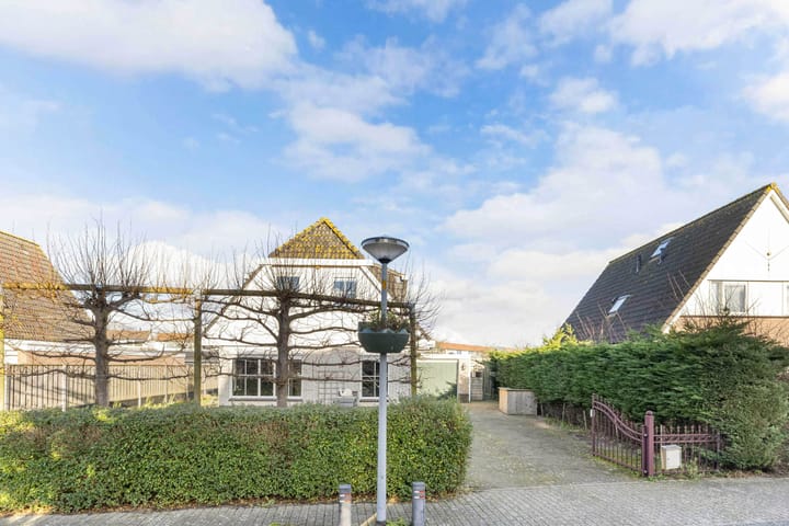 Foto 38 van Galjoen 19 33