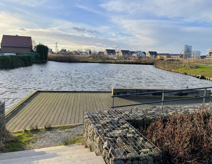 Foto 26 van Mr. Jan Tuningstraat 74