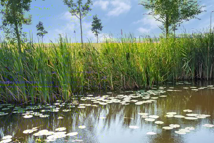 Foto 44 van Tsjaerderdyk 3-A