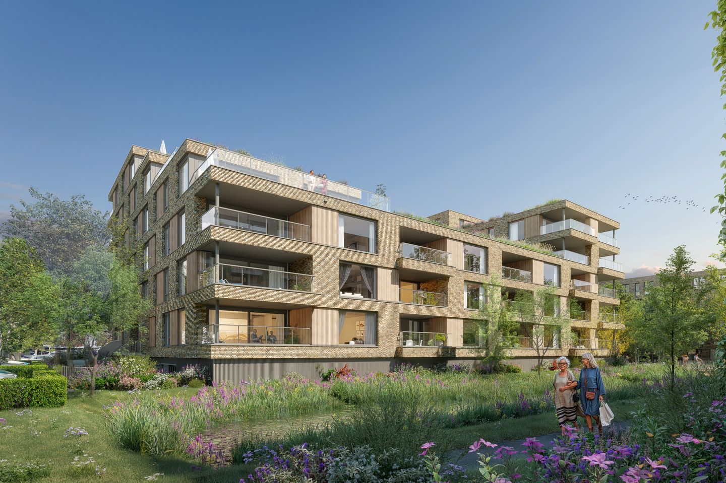 Foto 4 van King (Bouwnr. F11)