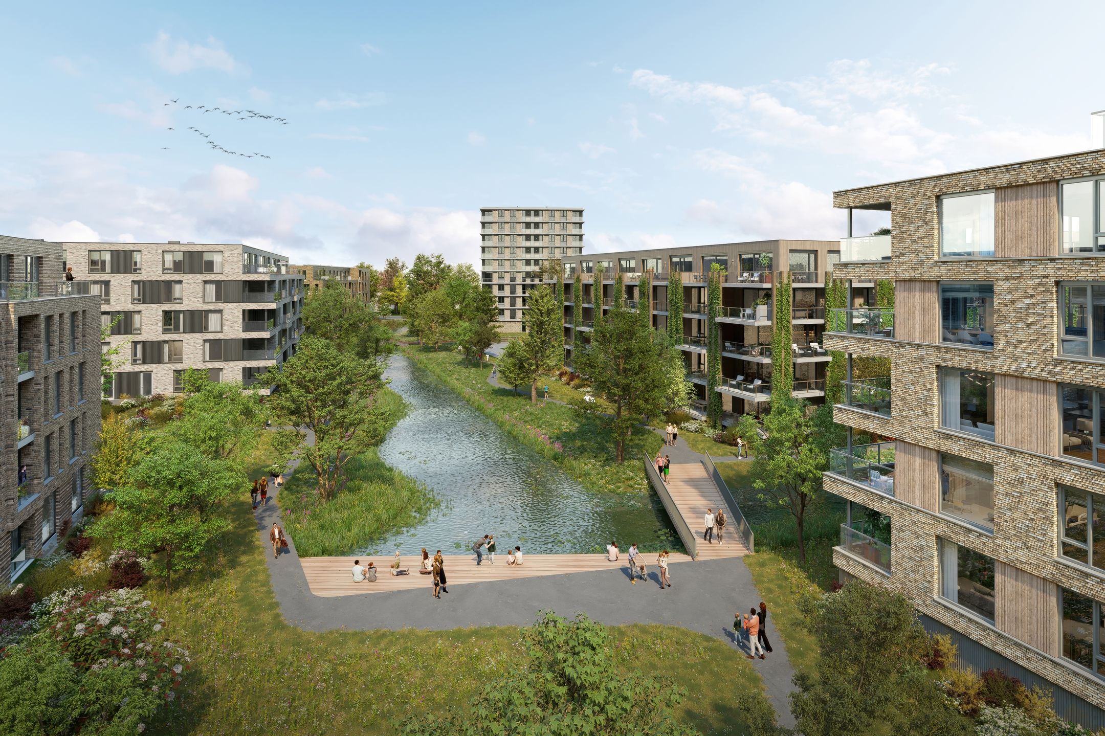 Foto 9 van King (Bouwnr. F11)