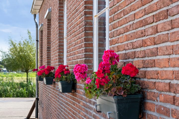 Foto 10 van Tsjaerderdyk 3-C