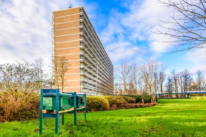 Foto 26 van Frederik van Eedenplaats 263