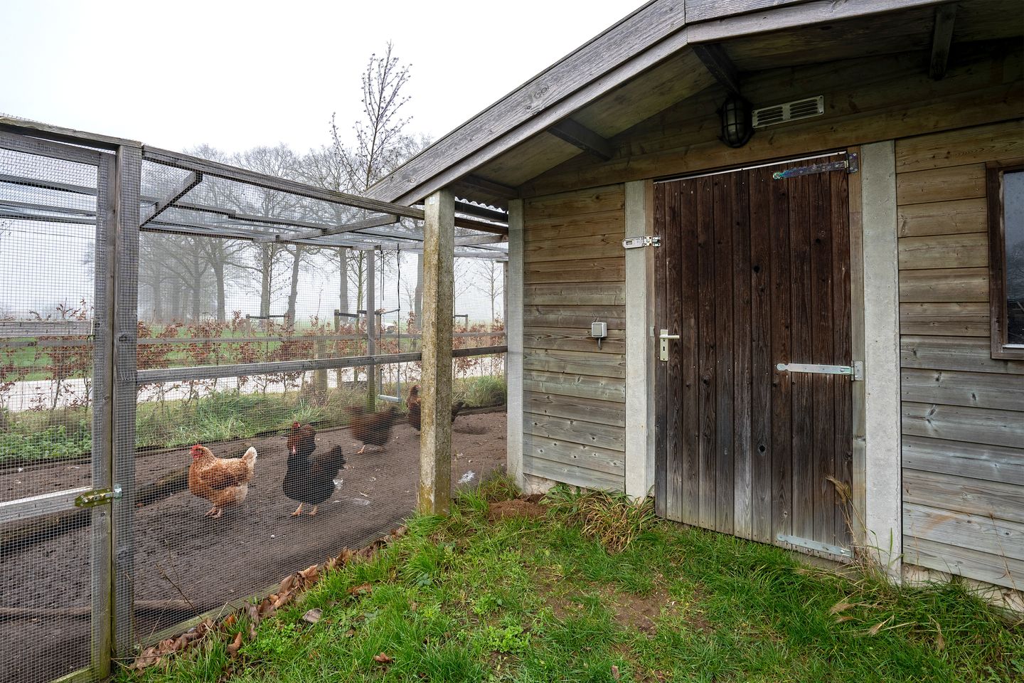 Foto 49 van Dennendijk 7