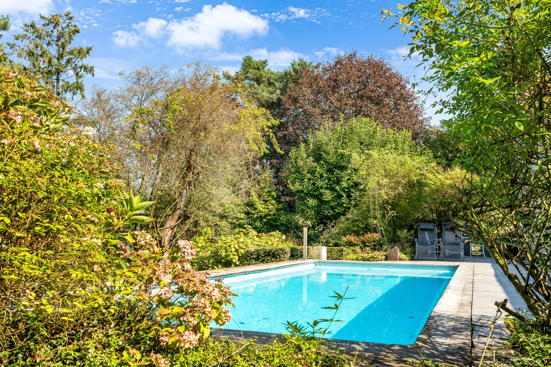 Photo 6 of Dennenweg 4-A