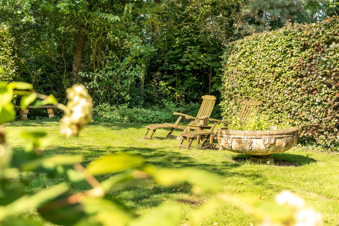 Photo 64 of Dennenweg 4-A