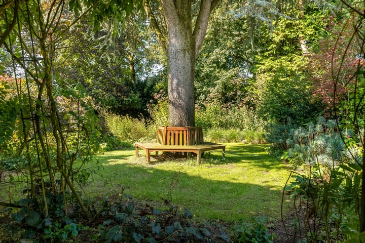 Foto 67 van Dennenweg 4-A