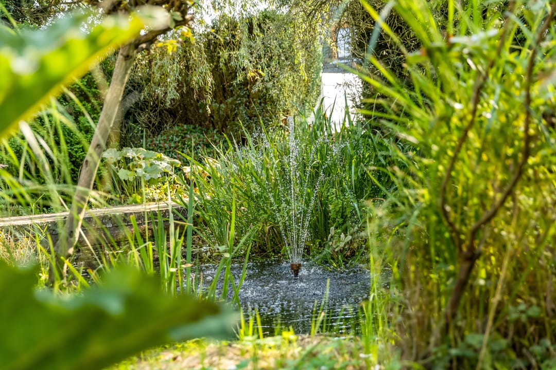 Photo 76 of Dennenweg 4-A